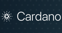 Картинка обзора блокчейн платформы и криптовалюты Cardano