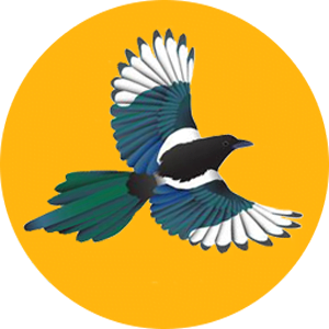 https://magpiecoin.org/images/mgpc/logo-yellow.png